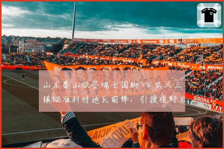 山东泰山欲签瑞士国脚 vs 武汉三镇瞄准科特迪瓦前锋,引援视野东西碰撞