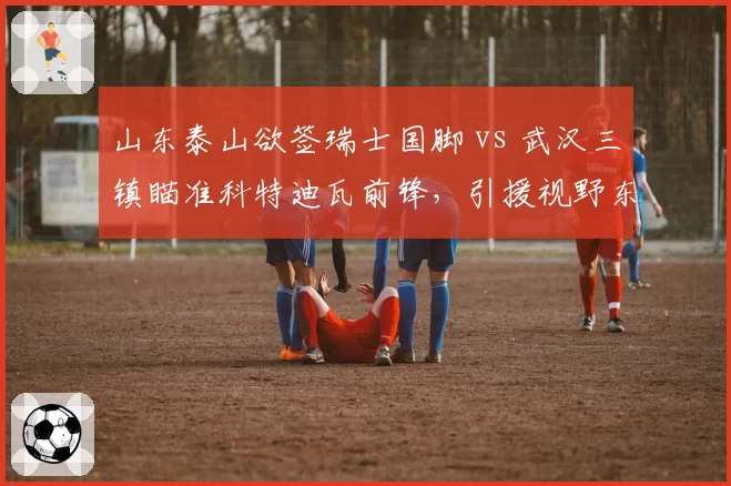 山东泰山欲签瑞士国脚 vs 武汉三镇瞄准科特迪瓦前锋,引援视野东西碰撞