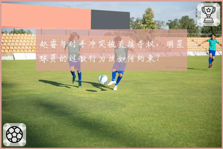 赵睿与对手冲突被直接夺权,明星球员的过激行为该如何约束?