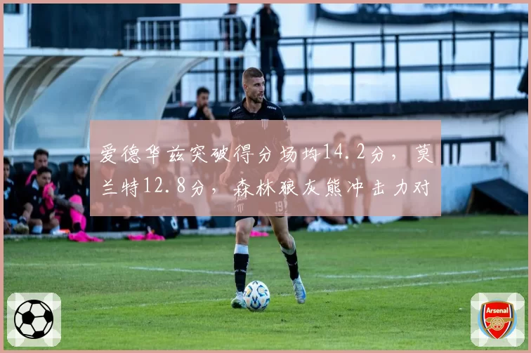 爱德华兹突破得分场均14.2分，莫兰特12.8分，森林狼灰熊冲击力对比鲜明